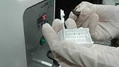 PREPARO DA LÂMINA HISTOLÓGICA