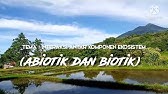 Interaksi Antar Komponen Ekosistem (Biotik dan Abiotik)