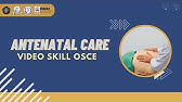 [VIDEO SKILL OSCE - ANTENATAL CARE]