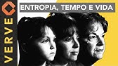 A entropia, a seta do tempo e o funcionamento da vida: Um mundo irreversível.