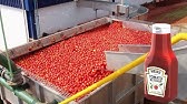 COMO é feito o Molho de Tomate 🍅|  Processo industrial #molhodetomate