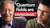 Quantum Information Panpsychism Explained | Federico Faggin