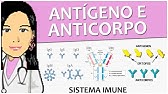 Imunologia 08 - Antígeno e Anticorpo - Vídeo aula de sistema imune