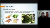 Processamento de hortaliças minimamente processadas