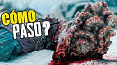¿Cómo el Cordyceps infectó a TODO EL MUNDO en The last of Us?