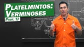Biologia - Verminoses de Platelmintos