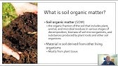 Soil Organic Matter