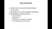 Chapter 9 Inflammation and Immunity BIOL300