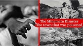 The Minamata Disaster | The town that was poisoned