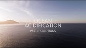 Ocean Acidification - Part 2, Solutions