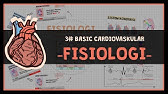 Fisiologi Jantung : #3 BASIC CARDIOVASKULAR