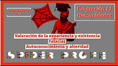 Spider Profe - Valoración de la experiencia y existencia - Progresión.11 - Humanidades Dim. 1 - 3