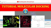 Cara Melakukan Molecular Docking antara Protein dengan Senyawa Alami Kandidat Obat