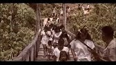 La Chorrera, el genocidio del oro blanco I y II