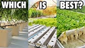 Which Hydroponic System Should You Choose?