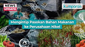 Bikin 90.000 Porsi Setiap Hari! Gini Cara Perusahaan Nikel Pastikan Pasokan Bahan Makanan Aman