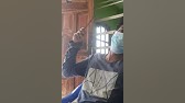 Entrevista 2