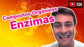 Enzimas - Compostos Orgânicos - Prof. Paulo Jubilut