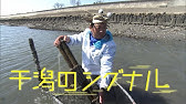 “奇跡の干潟”にマイクロプラスチック汚染が迫る！名古屋港に残された野鳥の楽園、藤前干潟が発する警告とは？【テレメンタリー】#干潟のシグナル
