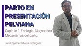 Parto en Presentación Pelviana. Capítulo 1.  Etiología.  Diagnóstico.  Mecanismos del parto.