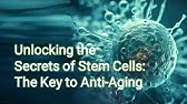 Unlocking the Secrets of Stem Cells: The Key to Anti-Aging