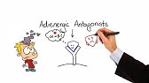 Pharmacology - ALPHA & BETA BLOCKERS - ADRENERGIC ANTAGONISTS ( MADE EASY)