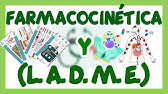 FARMACOLOGÍA METABOLISMO Y ELIMINACIÓN DE FÁRMACOS | GuiaMed