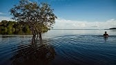 Hidrelétricas do Tapajós - O custo ambiental de 7 barragens