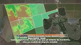 Agricultura de precisión - Monitoreo y mapeo satelital - Pablo Bruzzoni