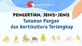 Pengertian dan Jenis-jenis Tanaman Pangan dan Hortikultura