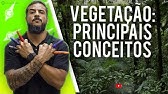 Vegetação: Principais conceitos - Geobrasil {Prof. Rodrigo Rodrigues}