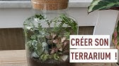 Créer son propre terrarium de plantes !