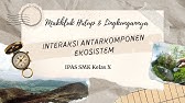Interaksi antarkomponen ekosistem || Makhluk Hidup & Lingkungannya || IPAS SMK Kelas X
