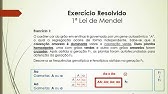 1ª Lei de Mendel - Exercícios Resolvidos