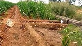 Irrigation in Ancient Mesopotamia