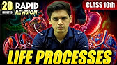 Life Processes in 20 Minutes🔥| Class 10th | Rapid Revision | Prashant Kirad