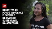 Iniciativa de povos indígenas é exemplo de manejo sustentável na Amazônia | CNN Sustentabilidade
