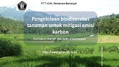 PB M-13: Pengelolaan biodiversitas tanaman untuk mitigasi emisi karbon