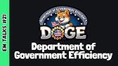 Department of Government Efficiency, My Job Story