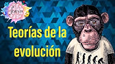 Teorías de la evolución | Fijismo, Lamarck, Darwin-Wallace, Neodarwinismo (teoría sintética)