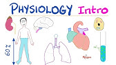 Physiology Introduction - What is Physiology? - A Complete Playlist - Doctors, Nurses, Undergrads