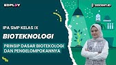 Materi Prinsip Dasar Bioteknologi dan Pengelompokannya - SMP Kelas 9 | Part.1