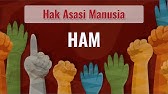 Bagaimana HAM Terbentuk? | Sejarah Singkat Hak Asasi Manusia