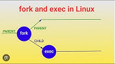 Week 5 - 2 Server OS Kernels