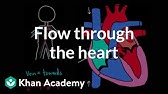 Flow through the heart | Circulatory system physiology | NCLEX-RN | Khan Academy