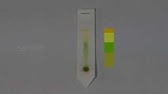 Paper Chromatography - MeitY OLabs