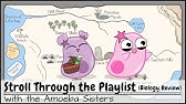 Stroll Through the Playlist (a Biology Review)