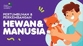 BIOLOGI IPA - Pertumbuhan dan Perkembangan Hewan & Manusia | GIA Academy