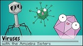 Viruses (Updated)