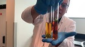 Yasser Saad-Photosynthesis-Phenol Red Experiment Result